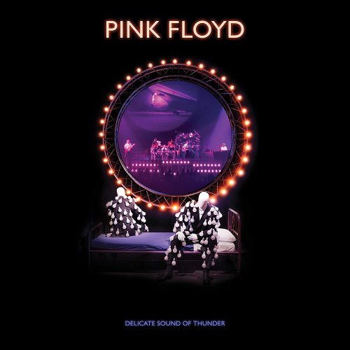 Pink Floyd - 1988 Delicate Sound of Thunder